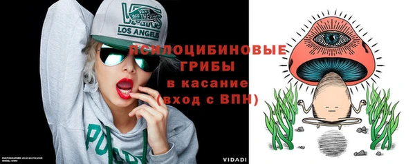 соль ск Алексеевка